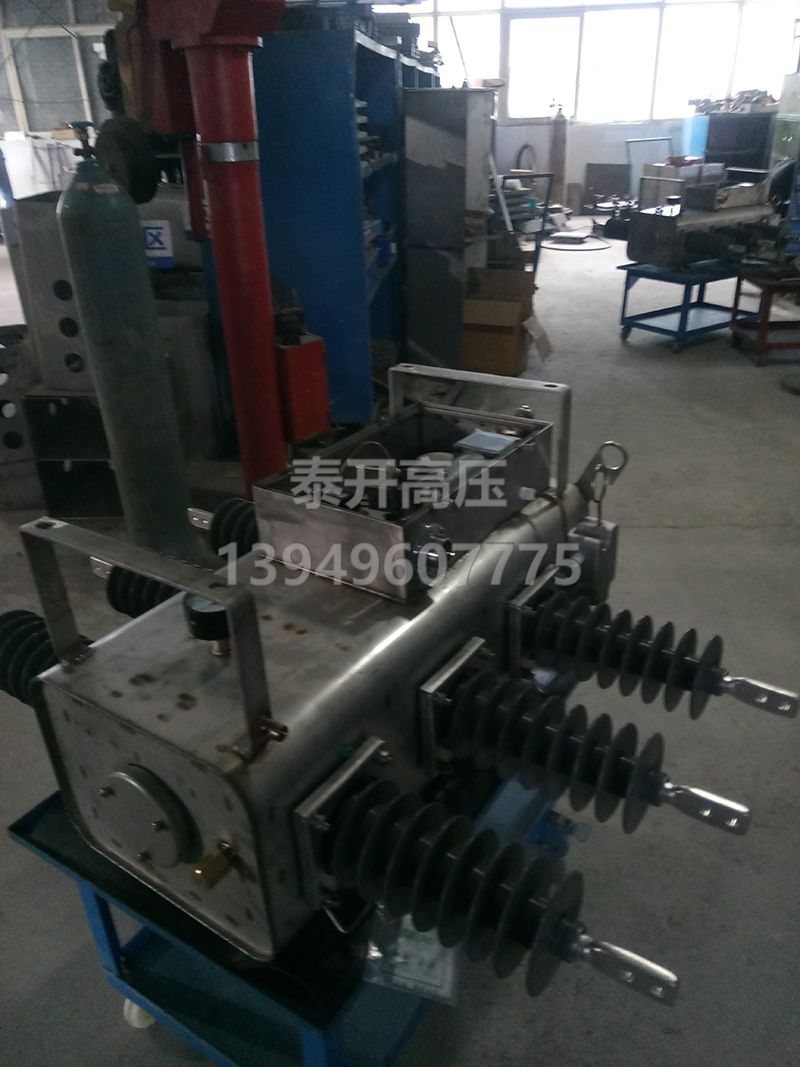 10KVSF6復合開關（不銹鋼）